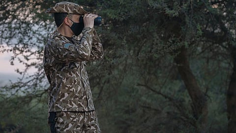 ضبط 10 مخالفين لنظام البيئة بحوزتهم حطب محلي في منطقتين