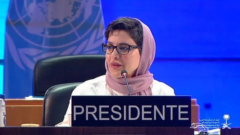 Saudi Arabia highlights Vision 2030 goals, climate change efforts at UNESCO session