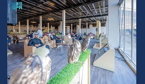 AlUla Moments Allows Free Attendance to AlUla Falcon Cup Events