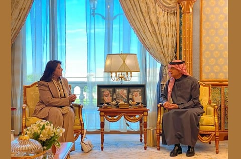 Minister of State for Foreign Affairs Meets British Industry and Economic Security Minister