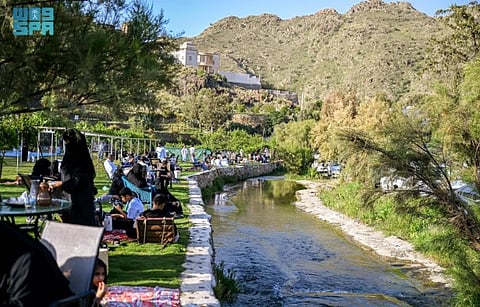From Family Farm to Tourist Oasis: Young Saudi Farmer Transforms His Land