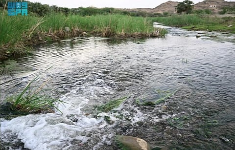 Futaiha Valley in Jazan: Cascading Waters, Enchanting Nature, Panoramas that Captivate Visitors