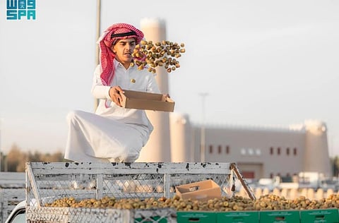 The National Center for Palms and Dates, in partnership with the Ministry of Environment, Water, and Agriculture