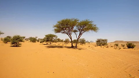 NCVC Launches Executive Plan for Combating Desertification, Sand Encroachment, and Drought Mitigation