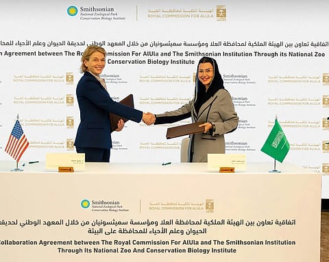 RCU, Arabian Leopard Fund Partner with Smithsonian to Protect Arabian Leopard