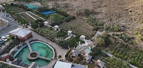 Taif's Countryside: A Thriving Hub for Tourism and Entertainment