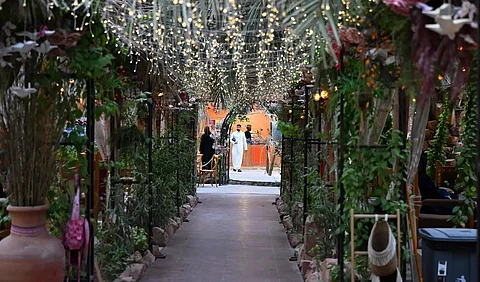 Madinah's Rural Farms Attract Summer Visitors
