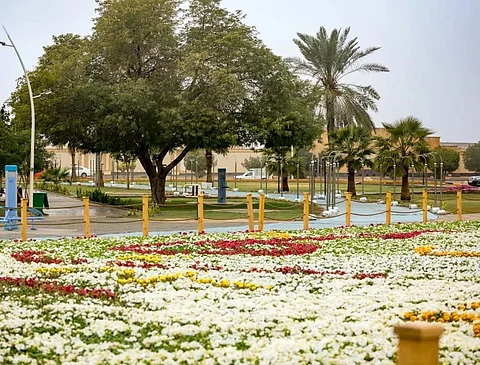 Green Qassim Land Initiative Drives Urban Sustainability and Quality of Life