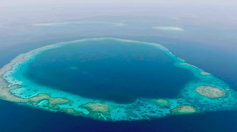 Blue Holes of Red Sea: A Rare Marine Phenomenon, High-Value Ecological Habitat