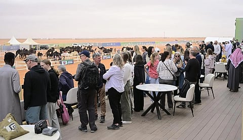 Global Visitors Flock to 10th King Abdulaziz Camel Festival