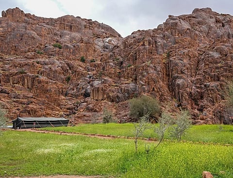 Scattered Rain Revitalizes Desert Outings and Camping in Hail