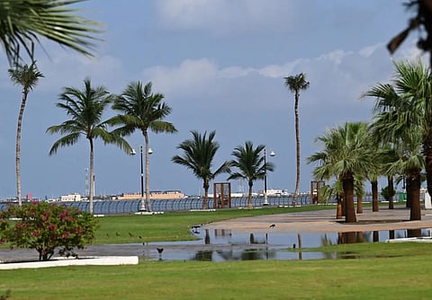 Jazan’s Mangrove Waterfront: A Model of Modern Urbanism and Ecological Harmony