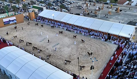 Over 9,000 Visitors Attend Second Day of Qassim Arabian Horse Show