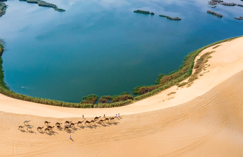 The Saudi Red Sea: A Marine Destination Redefining Coastal and Maritime Tourism