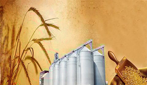 Saudi Arabia issues tender to buy 900,000 tonnes barley