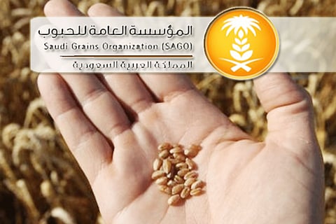 Saudi Arabia’s Grains Organization to Import 780,000 Tons of Feed Barley