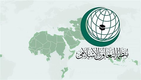 Organization of Islamic Cooperation supports Egypt in its efforts to combat terrorism