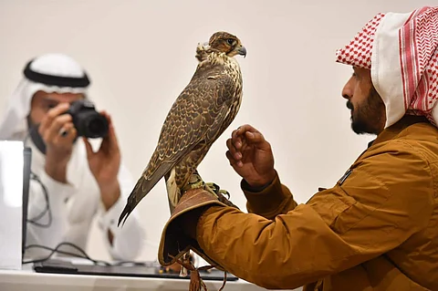 More Than 70,000 Visitors on First Day of Saudi Falcons and Hunting Show 2019