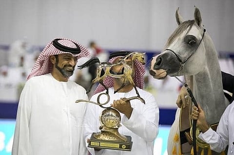 European organization praises Riyadh prominence in Arabian   Horse Industry