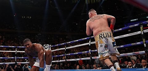 Saudi Arabia to Host 10 Universe Boxers in Historical Event on December 7th