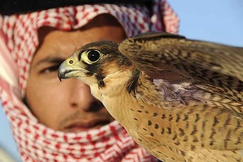 Finnish Ambassador Commends Advanced Level of King Abdulaziz Falconry Festival