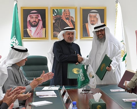 Saudi Arabia Provides Treatment Services in Hodeidah Governorate
