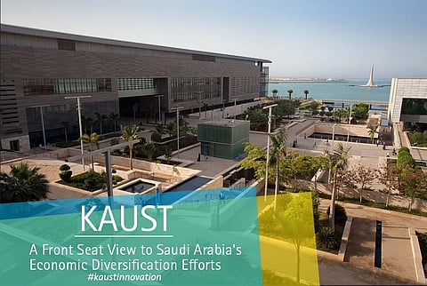 KAUST professor wins international award
