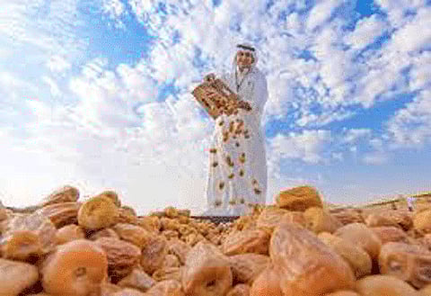 Saudi Date Exports Record 14.6% Rise in 2019