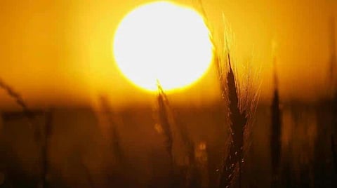 Several statistical studies have shown a slight correlation between climate and the novel coronavirus -- the hotter and more humid it is, the less likely the virus is to spread -- but the findings remain preliminary | AFP