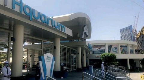 Tourism Gradually Returns to Jeddah Amid COVID-19 Caution