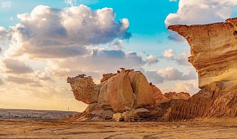 Association to establish new travel, tourism norms