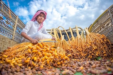 FAO Approves Saudi Arabia’s Request to Establish International Dates’ Year in 2027