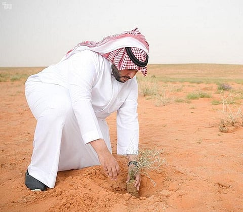 Prince Turki launches number of environmental initiatives