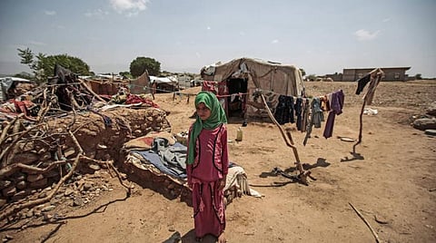 World Bank Approves Grant to Support Yemen’s Food Security Project