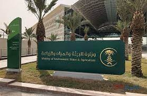 Environment Ministry: Construction of Artificial Lakes for Entertainment or Investment Exposes the Owner to Penalties and Fines