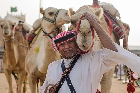 Saudi Arabia gears up to host world’s largest camel festival