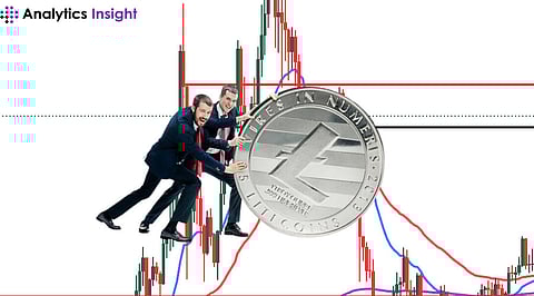Is Litecoin the Best Crypto to Buy Now?