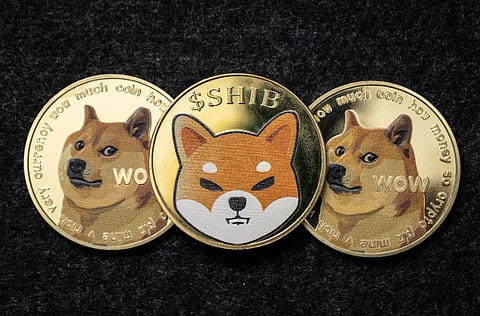 Shiba Inu