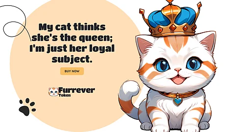 Can Furrever Token Surpass FLOKI, Pepe Coin, and Dogecoin to Become the New Meme Coin Sensation?