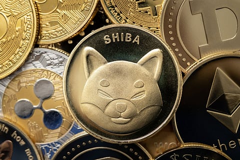 Meme coins