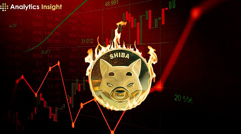 Shiba Inu Burn Rate Analysis: Impact on SHIB Price