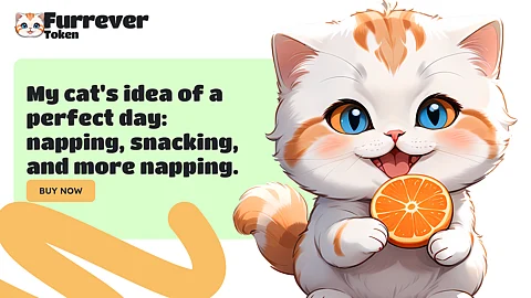 Why Furrever Token is Better: Pepe Coin Faces Threats, Shiba Inu Hopes for a Rally, and Bonk Plummets