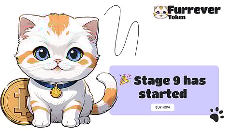 Why Furrever Token is the Hottest Meme Coin of 2024: Outshining Dogecoin, Pepe Coin, and Shiba Inu
