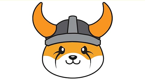FLOKI