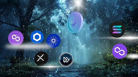 Will Algotech Surpass Solana Surge and Render Momentum With 100x ROI Potential?