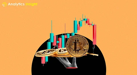 The Best Crypto Stocks of July 2024