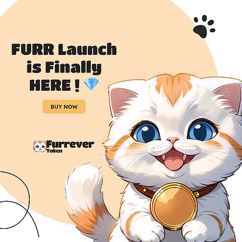 Exploring the Future of Cryptocurrencies: Solana, Binance Coin, and Furrever Token