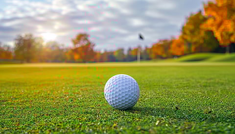 FL Sports Betting Sites