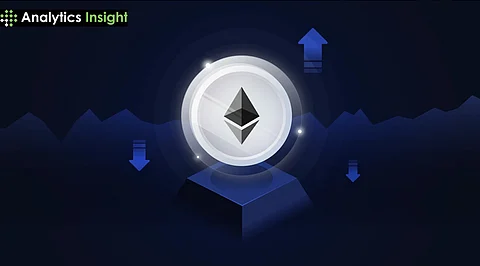 Notcoin Slips Off Key Support of $0.014, Struggles Amid Investor Skepticism