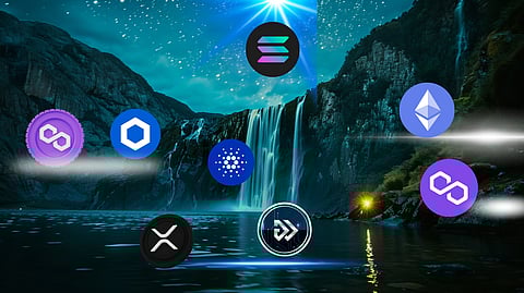 Summer Shopping Spree? ETH Whales Are Accumulating Cardano and Algotech at Shocking Rate